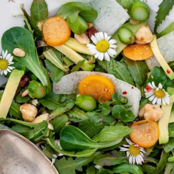 Dandelion salad - recipe